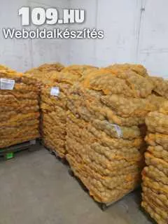 Korinna sárga burgony 10kg-os zsákban